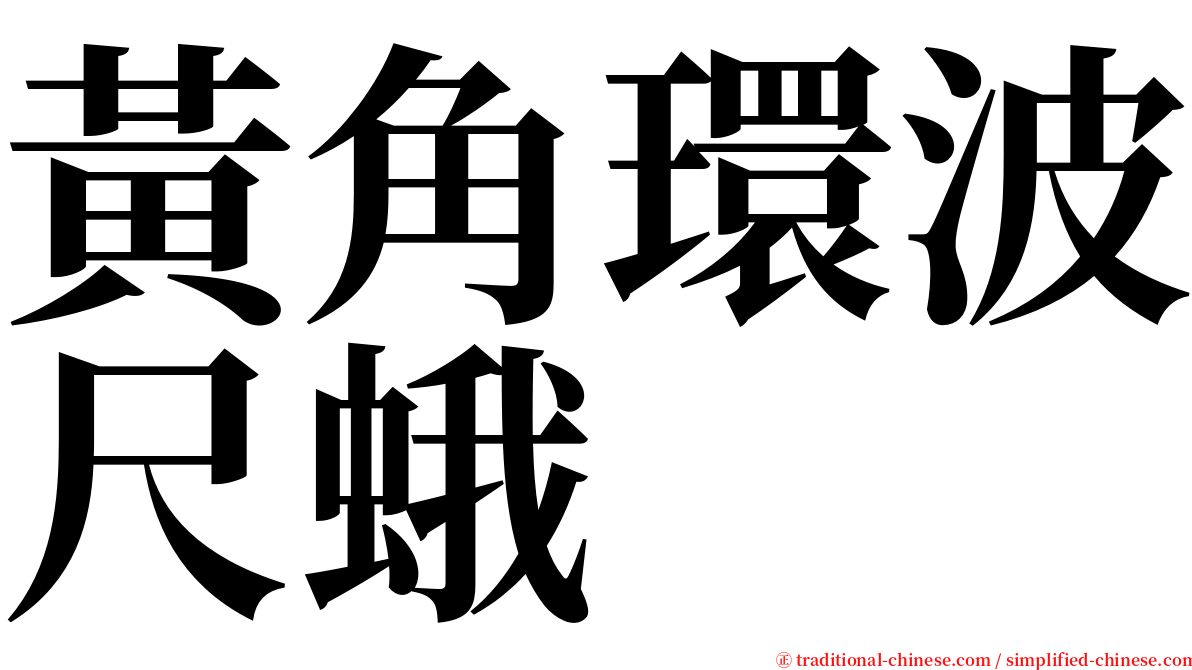 黃角環波尺蛾 serif font