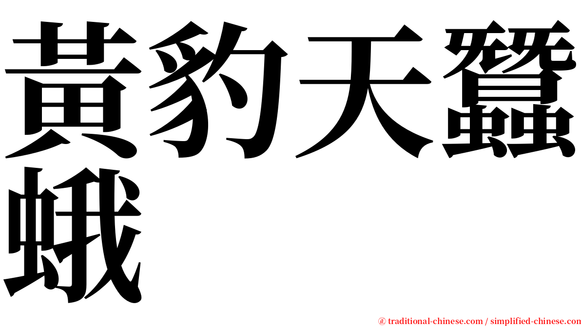 黃豹天蠶蛾 serif font