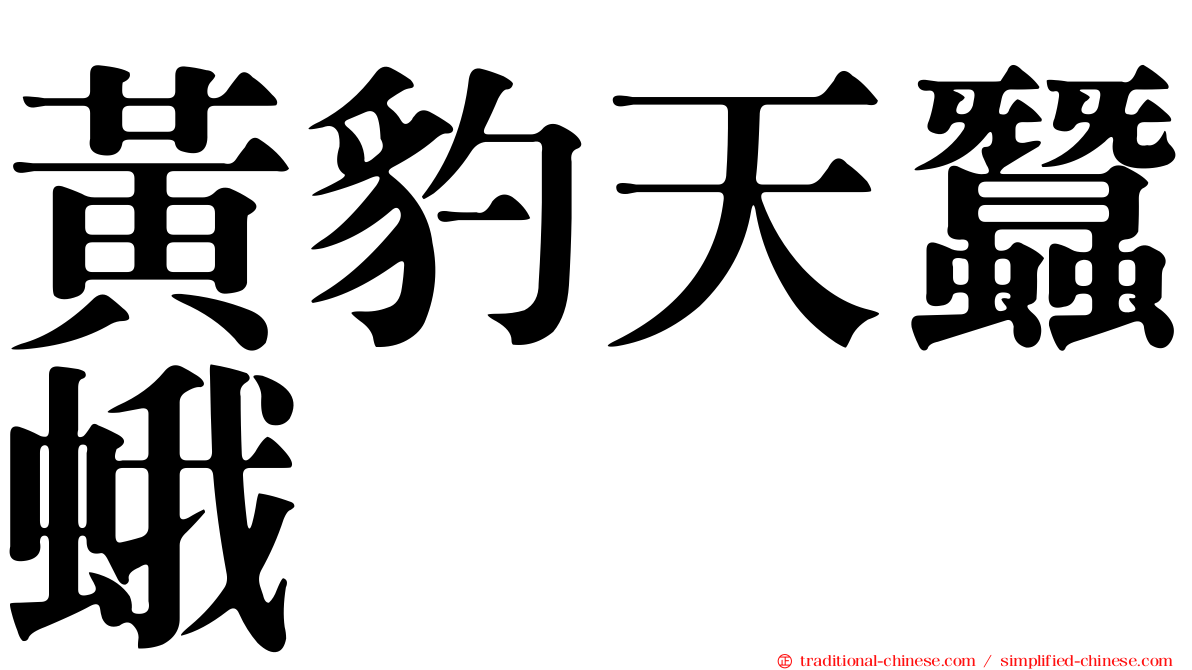 黃豹天蠶蛾