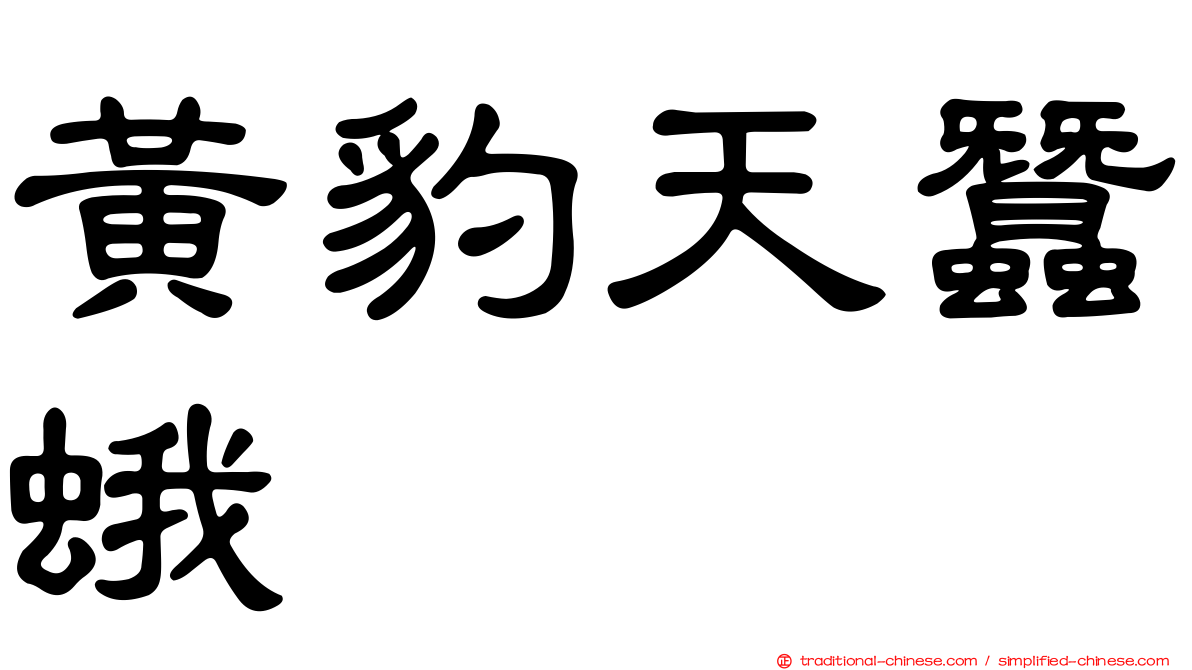 黃豹天蠶蛾