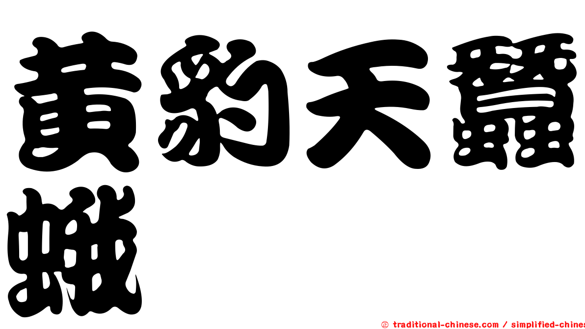 黃豹天蠶蛾