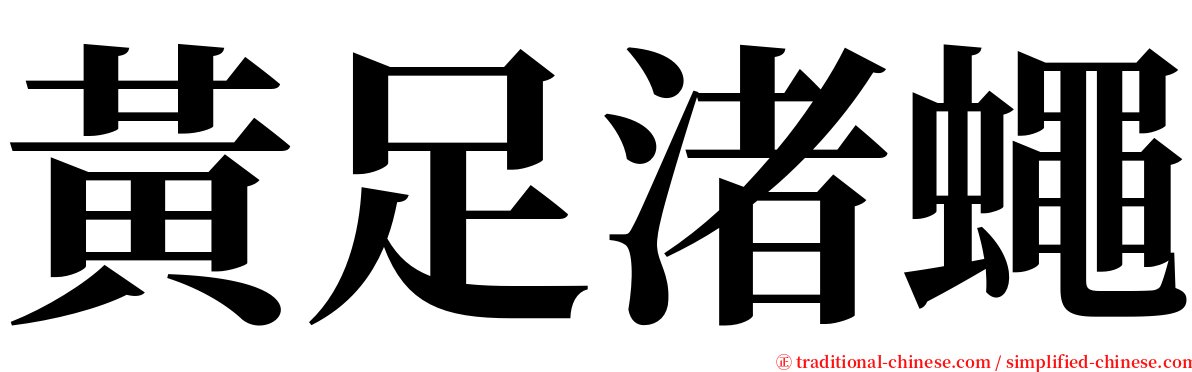 黃足渚蠅 serif font