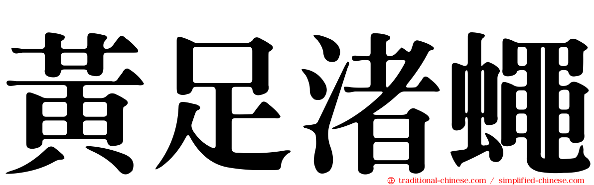 黃足渚蠅
