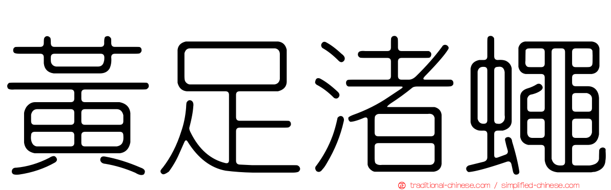 黃足渚蠅