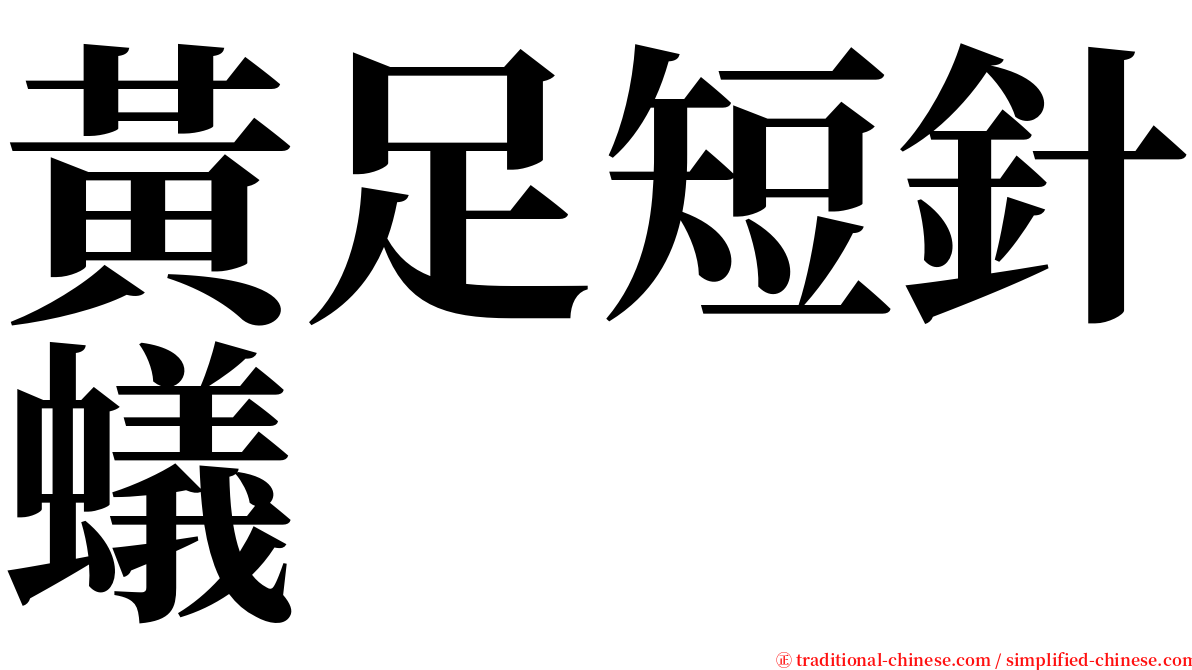 黃足短針蟻 serif font