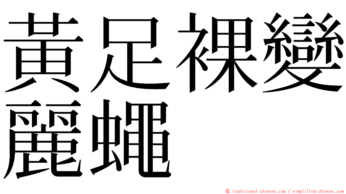 黃足裸變麗蠅 ming font