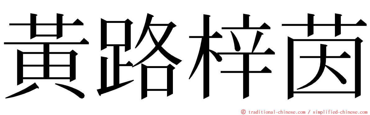 黃路梓茵 ming font