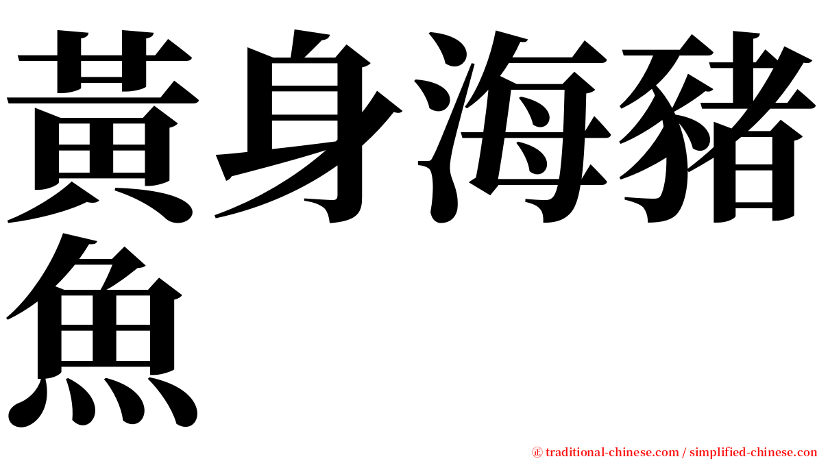 黃身海豬魚 serif font