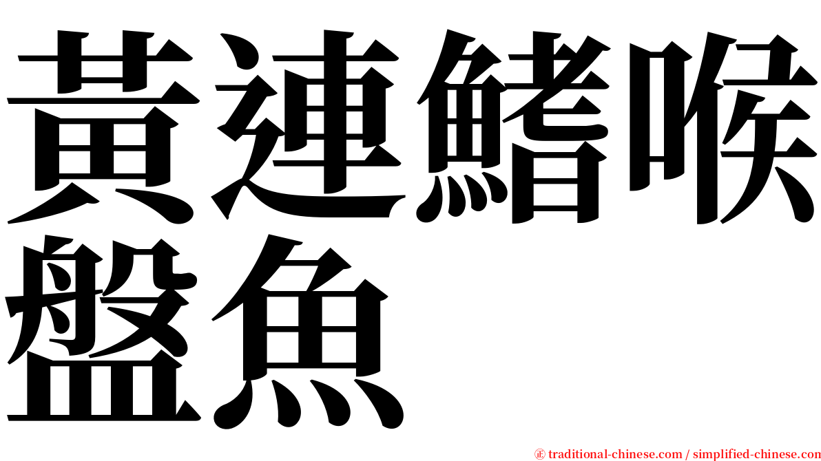 黃連鰭喉盤魚 serif font