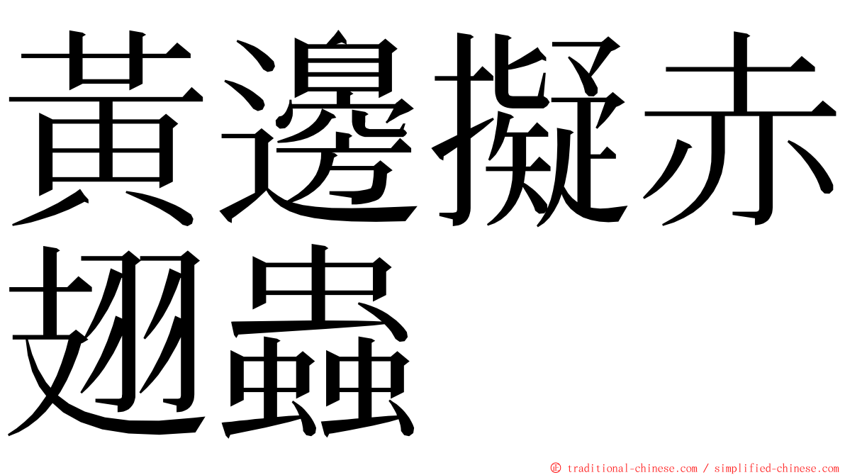 黃邊擬赤翅蟲 ming font