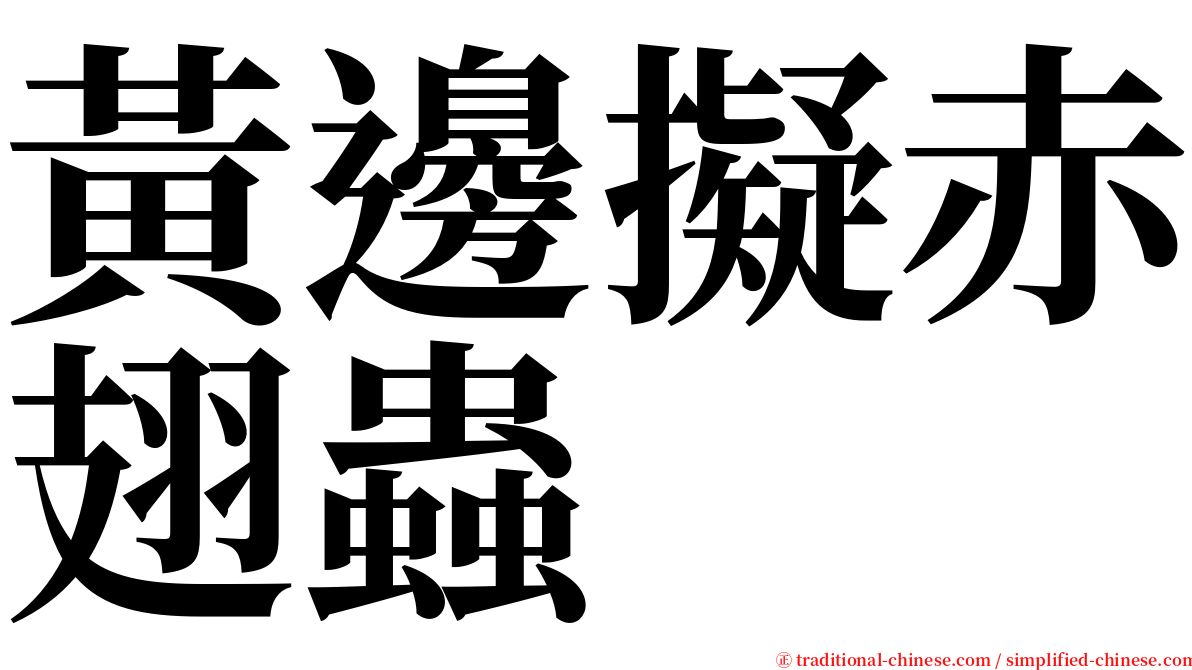 黃邊擬赤翅蟲 serif font