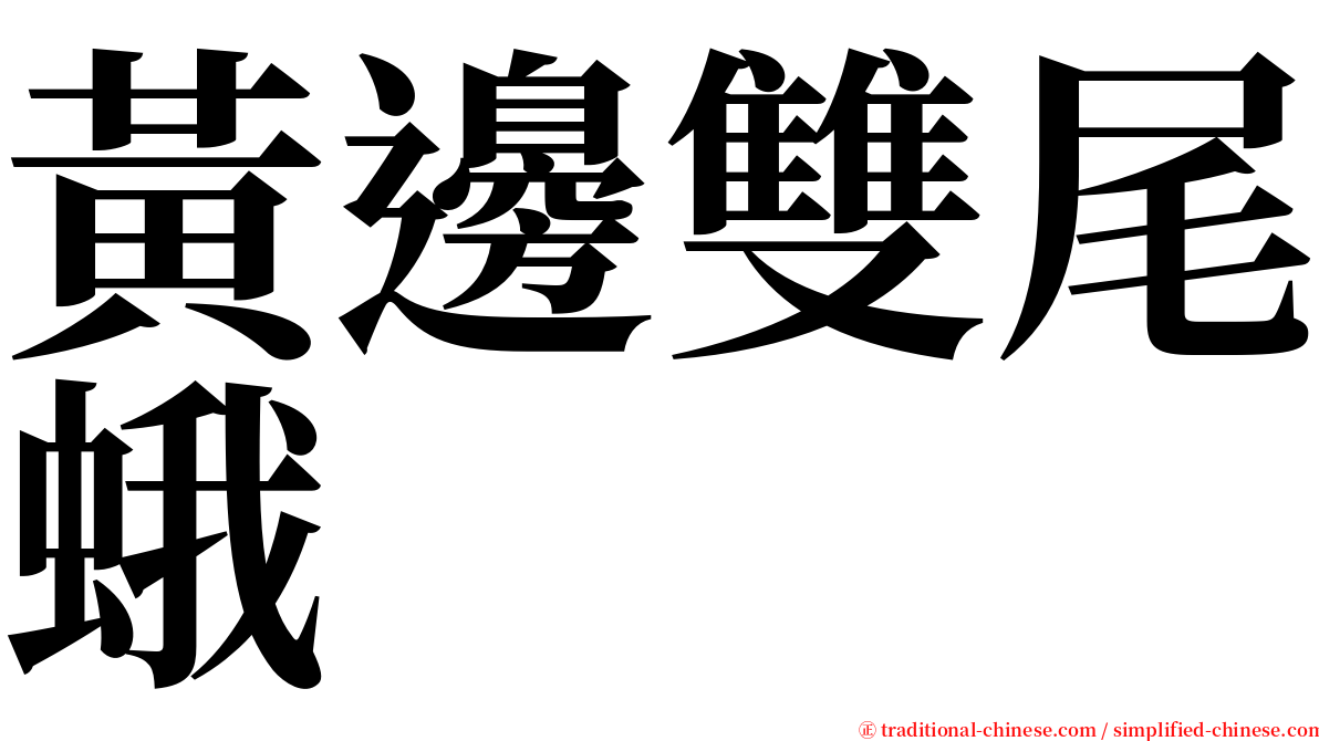 黃邊雙尾蛾 serif font