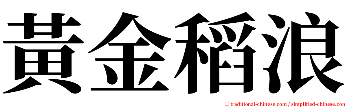 黃金稻浪 serif font