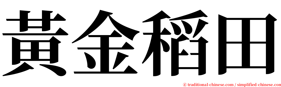 黃金稻田 serif font