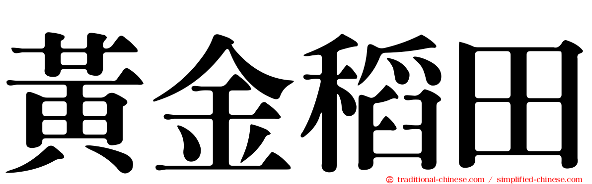 黃金稻田