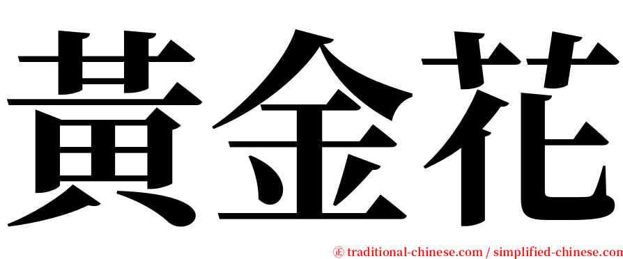 黃金花 serif font