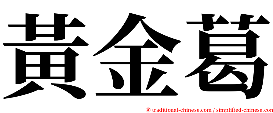 黃金葛 serif font