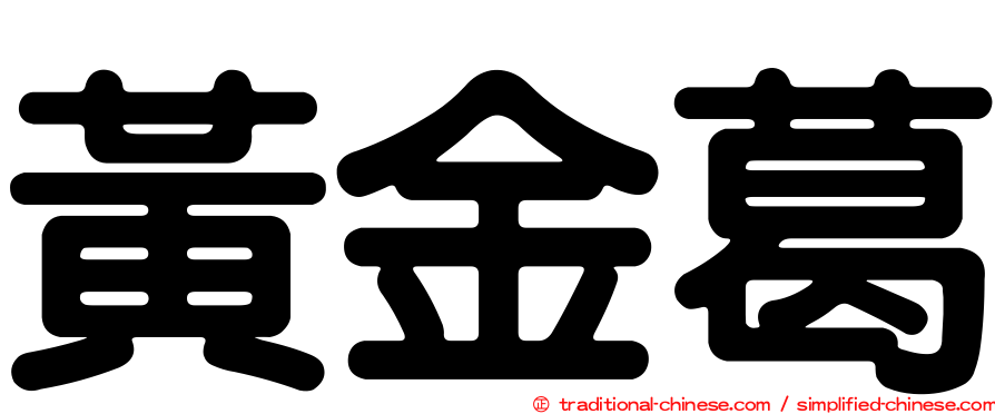 黃金葛