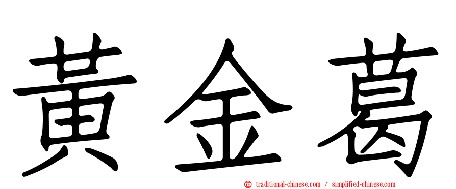 黃金葛