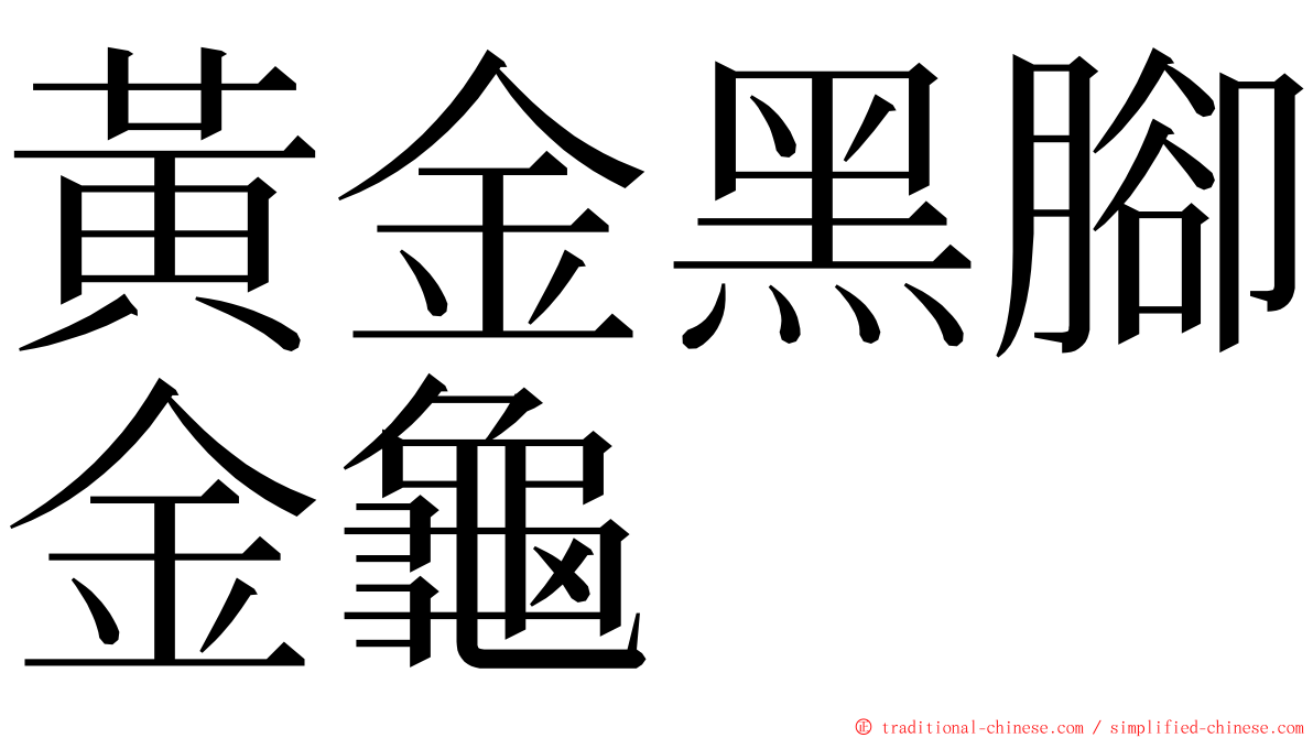 黃金黑腳金龜 ming font