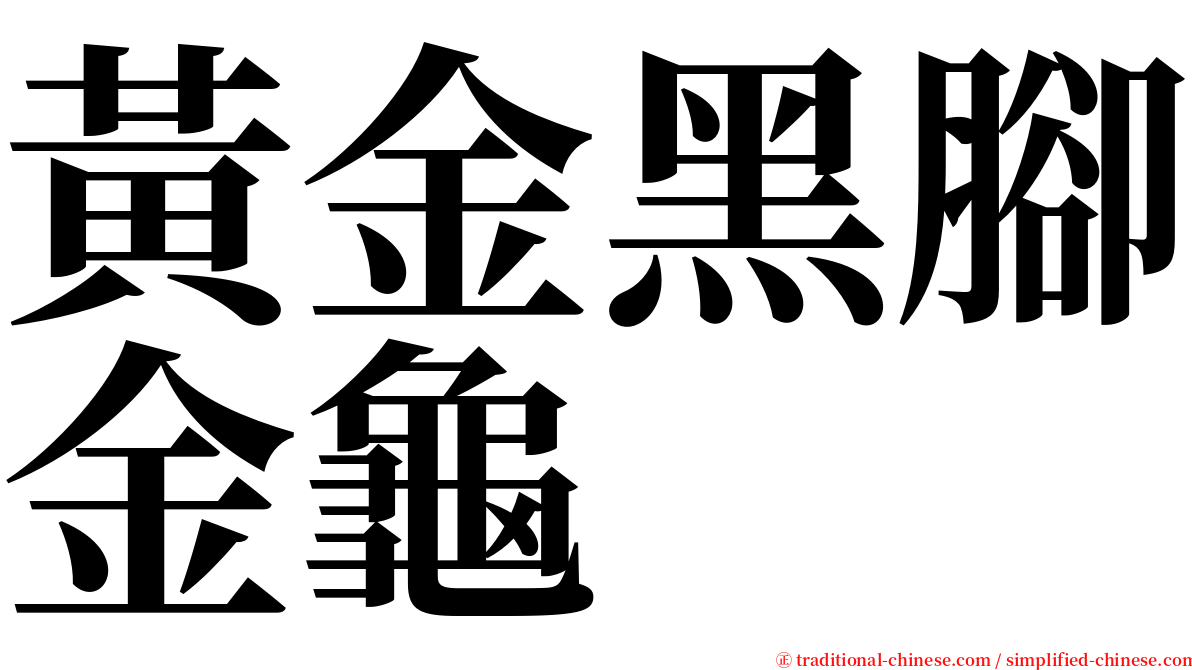 黃金黑腳金龜 serif font