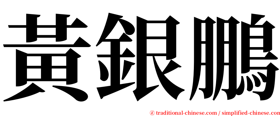 黃銀鵬 serif font