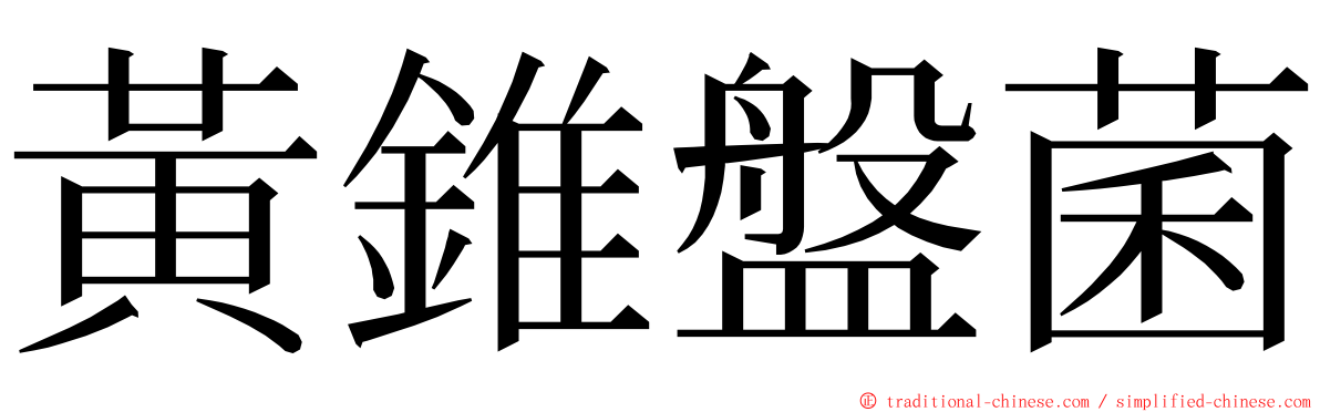 黃錐盤菌 ming font