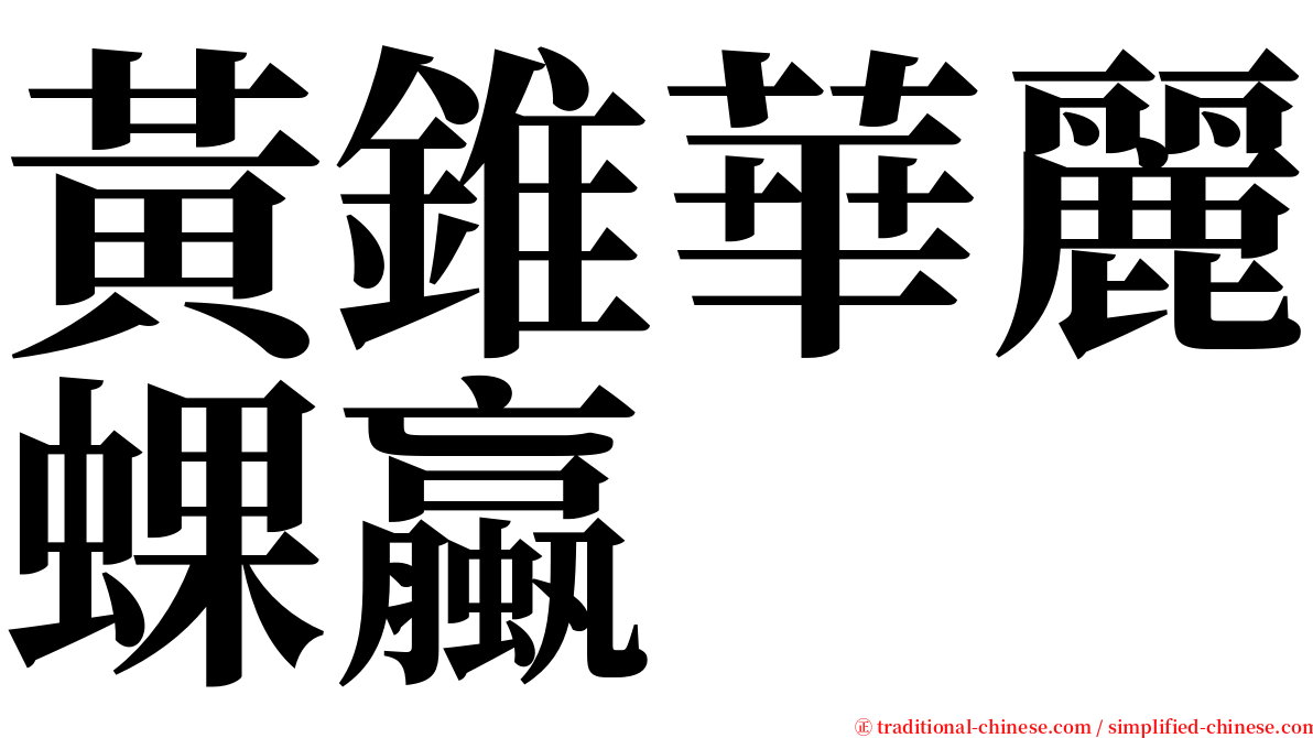 黃錐華麗蜾蠃 serif font