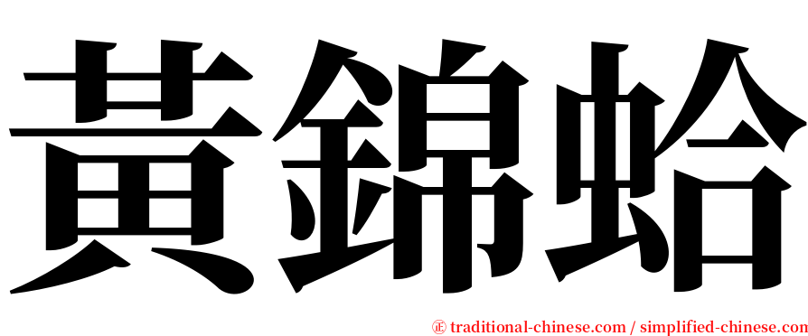 黃錦蛤 serif font