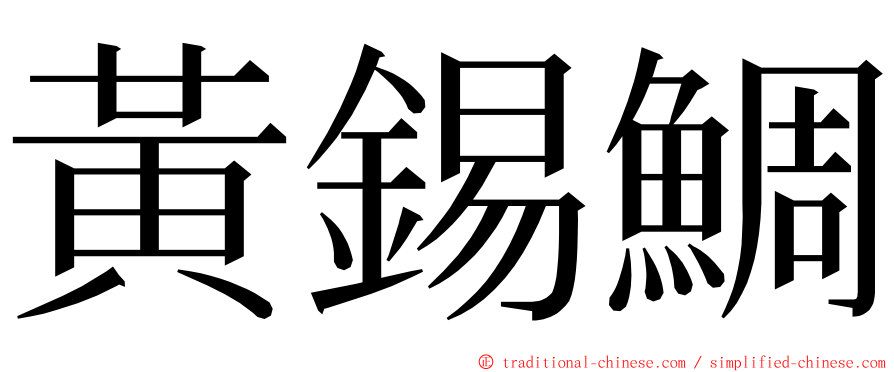 黃錫鯛 ming font