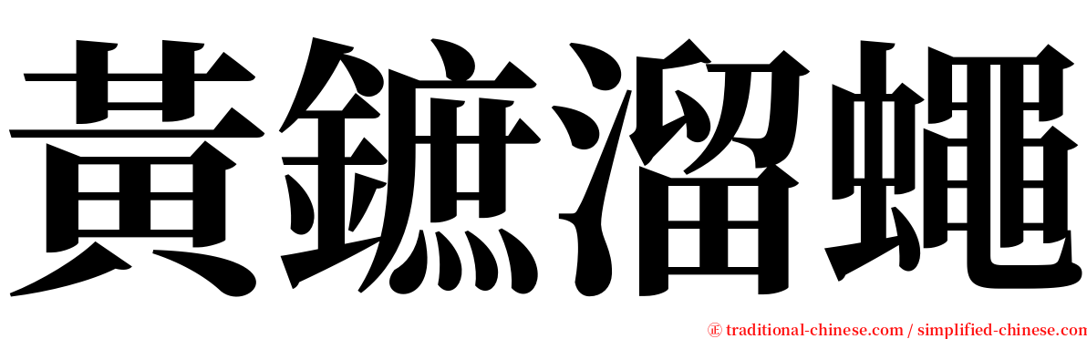 黃鏣溜蠅 serif font