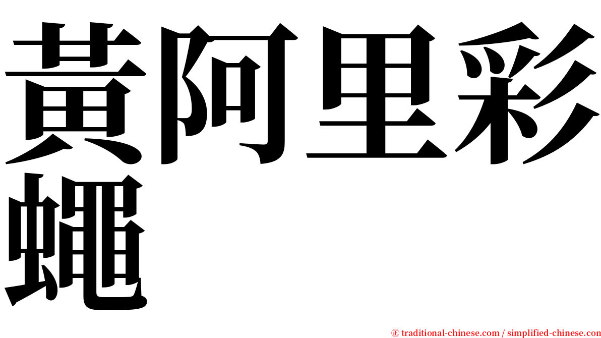 黃阿里彩蠅 serif font