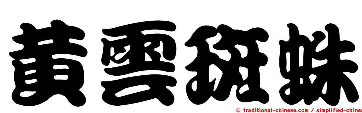 黃雲斑蛛