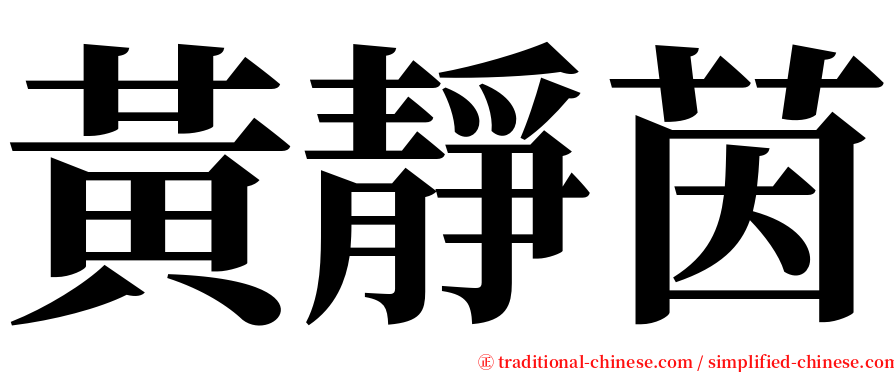 黃靜茵 serif font