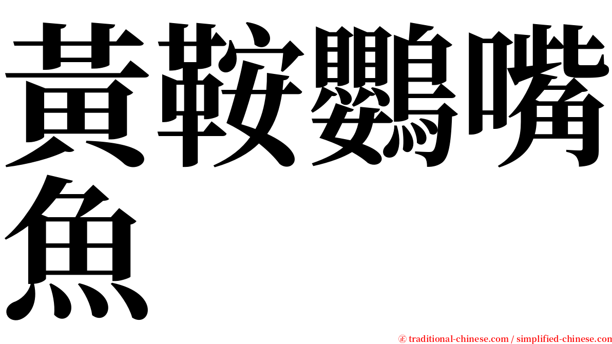 黃鞍鸚嘴魚 serif font