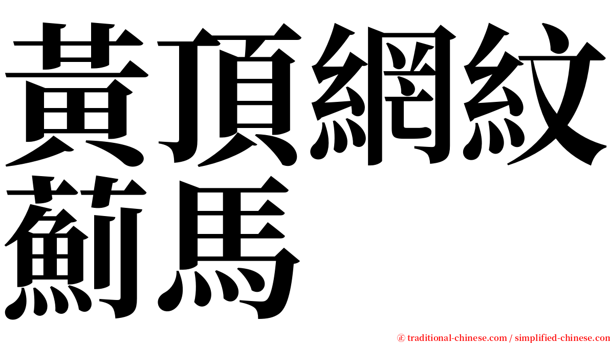 黃頂網紋薊馬 serif font