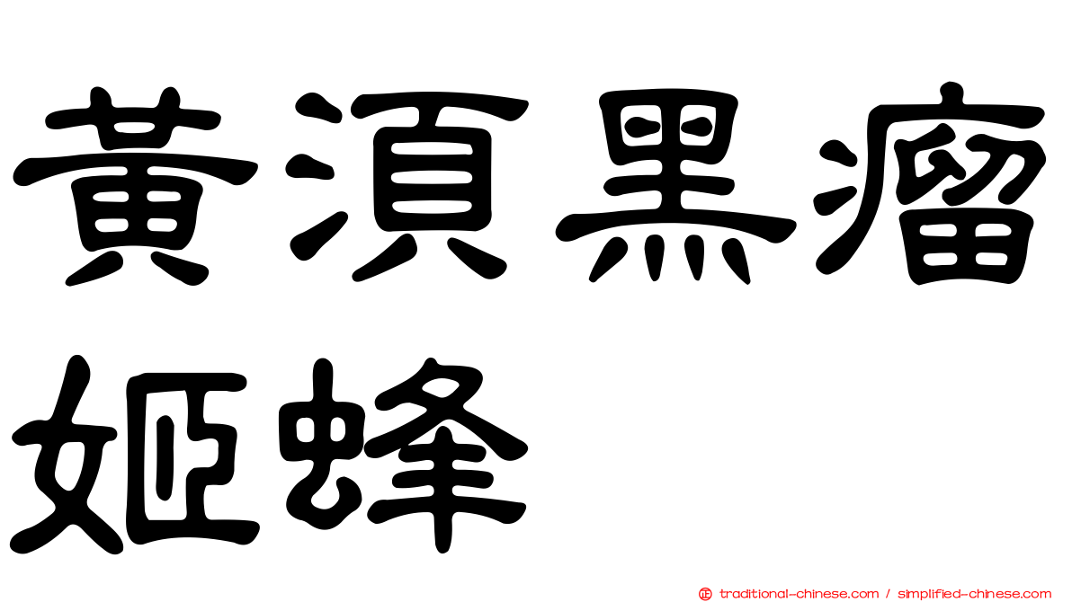 黃須黑瘤姬蜂