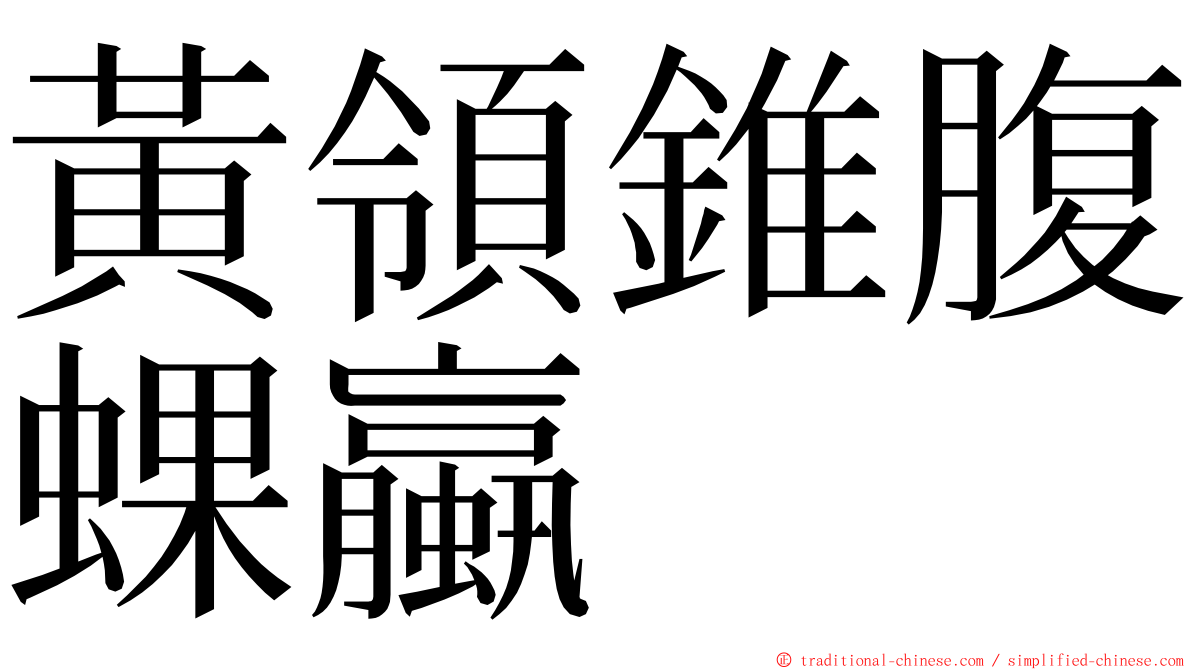 黃領錐腹蜾蠃 ming font