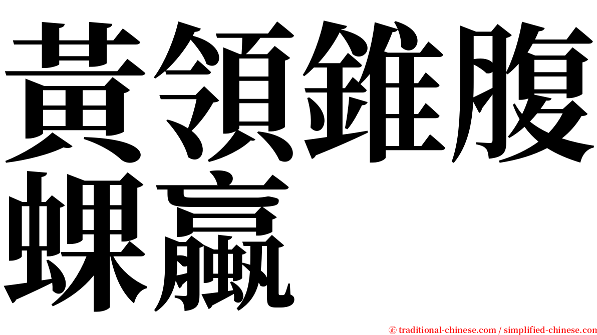 黃領錐腹蜾蠃 serif font