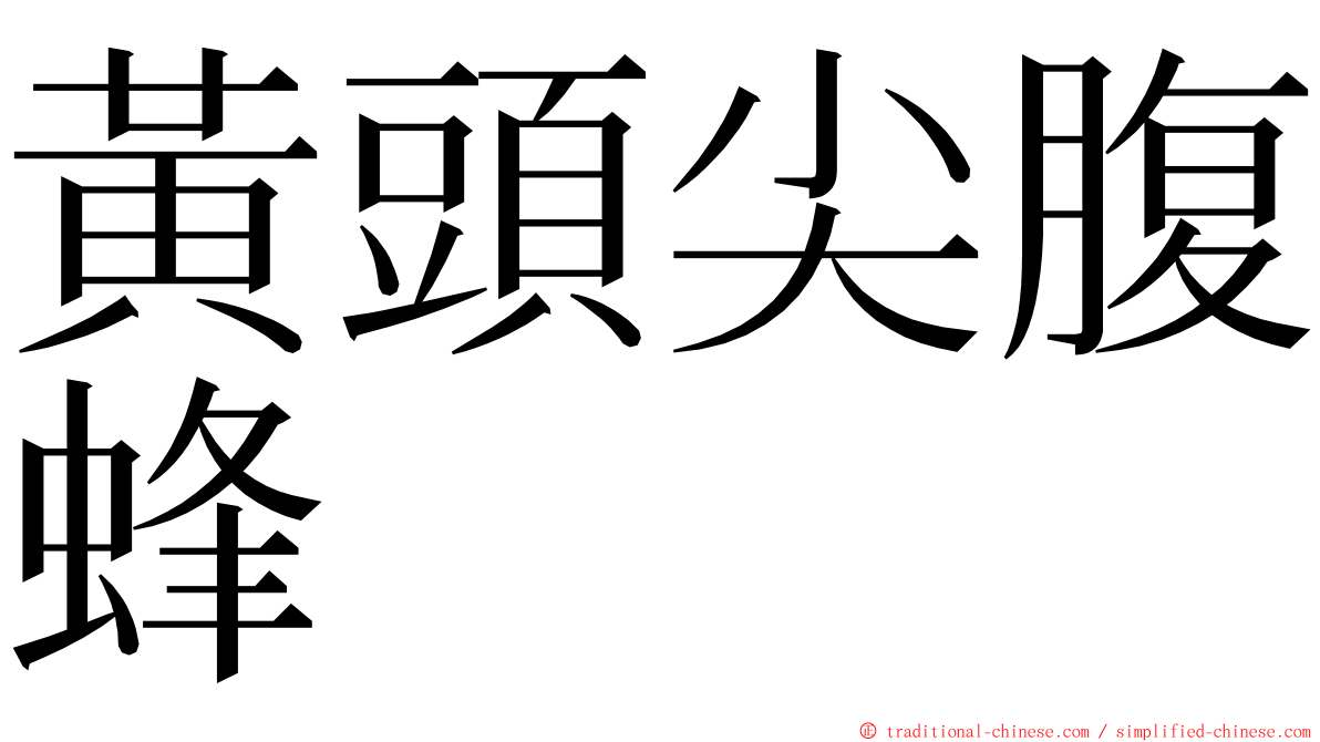 黃頭尖腹蜂 ming font