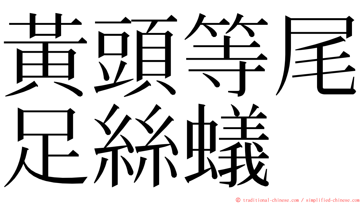 黃頭等尾足絲蟻 ming font