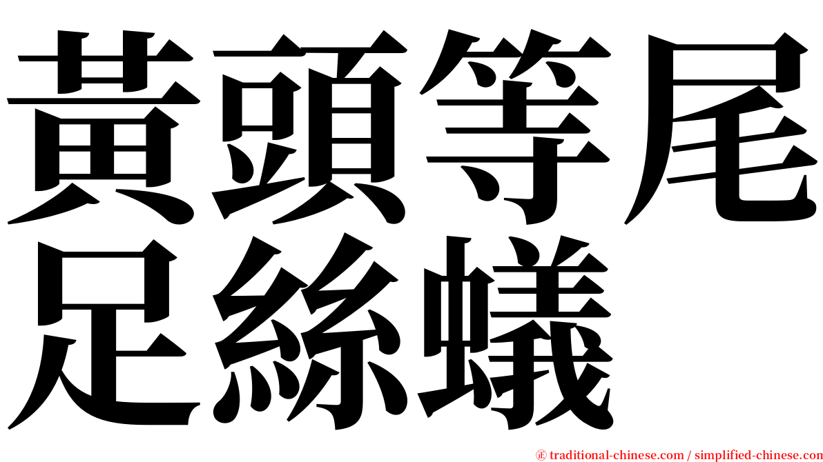 黃頭等尾足絲蟻 serif font