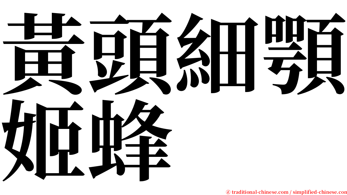 黃頭細顎姬蜂 serif font