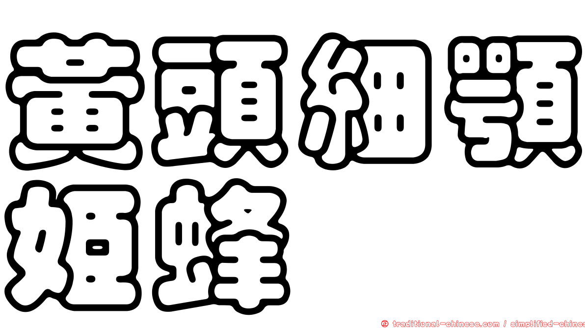 黃頭細顎姬蜂