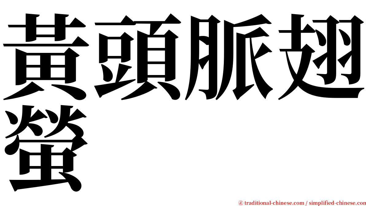 黃頭脈翅螢 serif font