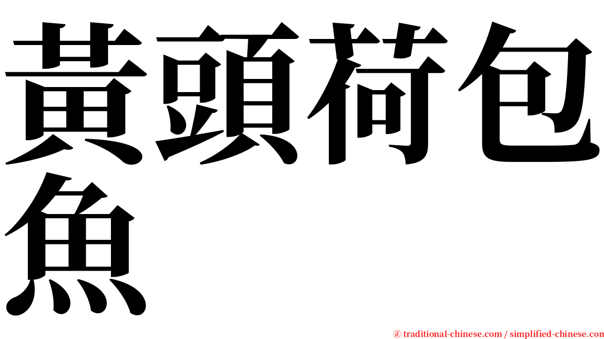 黃頭荷包魚 serif font