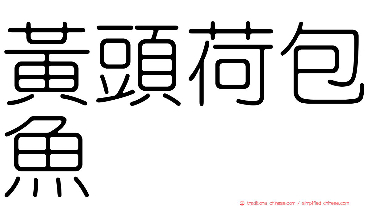 黃頭荷包魚