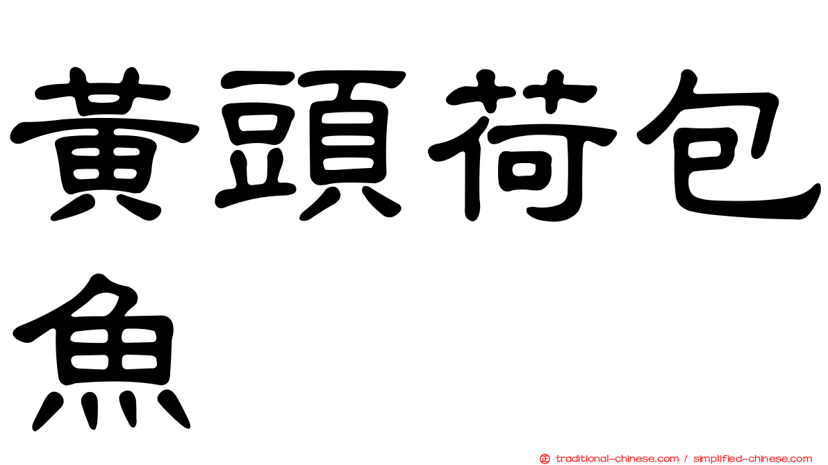 黃頭荷包魚