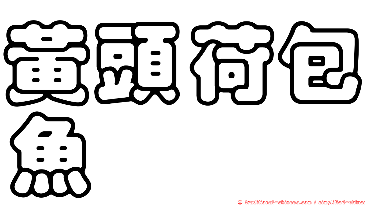 黃頭荷包魚