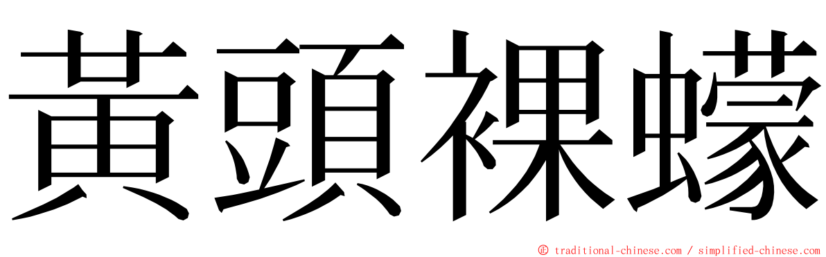 黃頭裸蠓 ming font